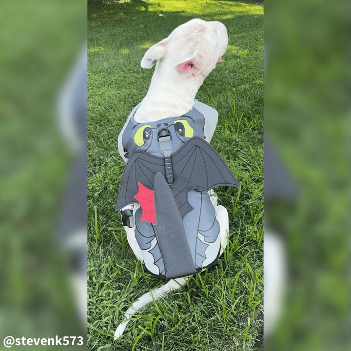 Flying Dragon Life Jacket | Bull Terrier World