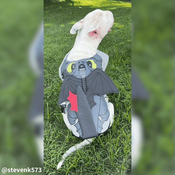 Flying Dragon Life Jacket Bull Terrier World