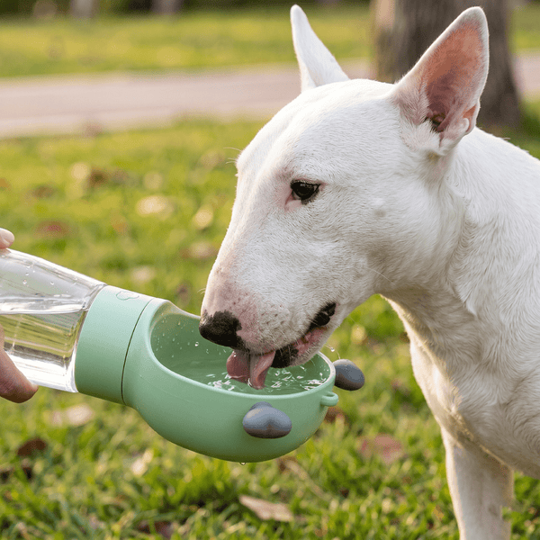 Frosted Dog Water Bottle