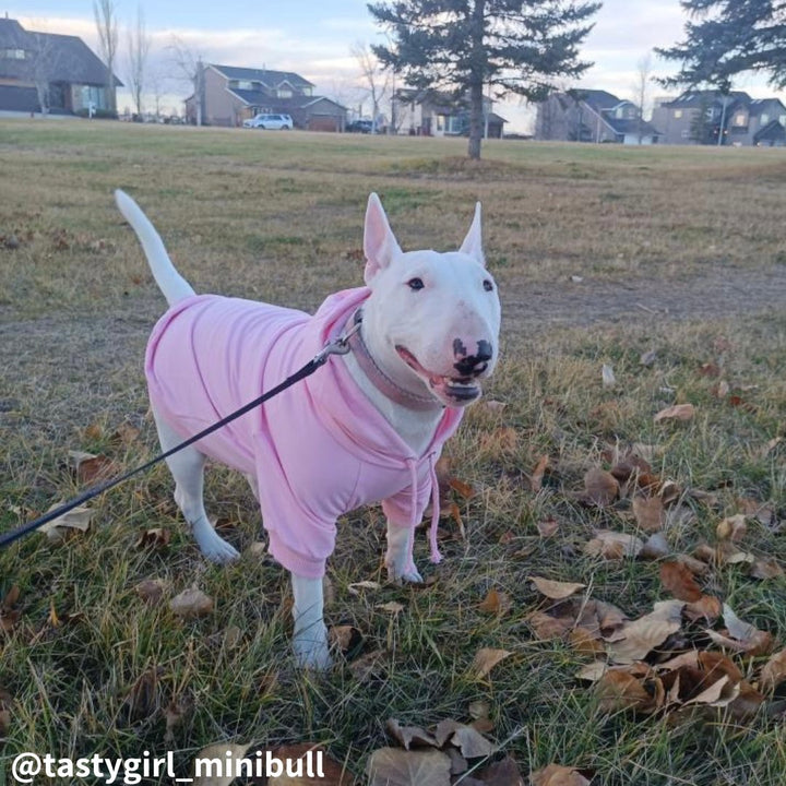 Hoodie With Drawstrings | Bull Terrier World