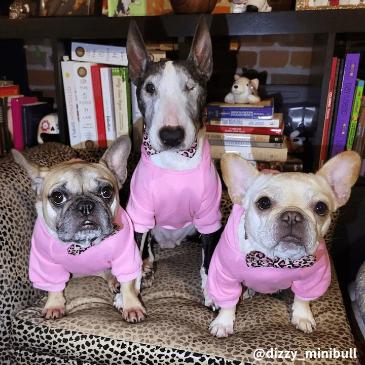 Hoodie With Pocket | Bull Terrier World