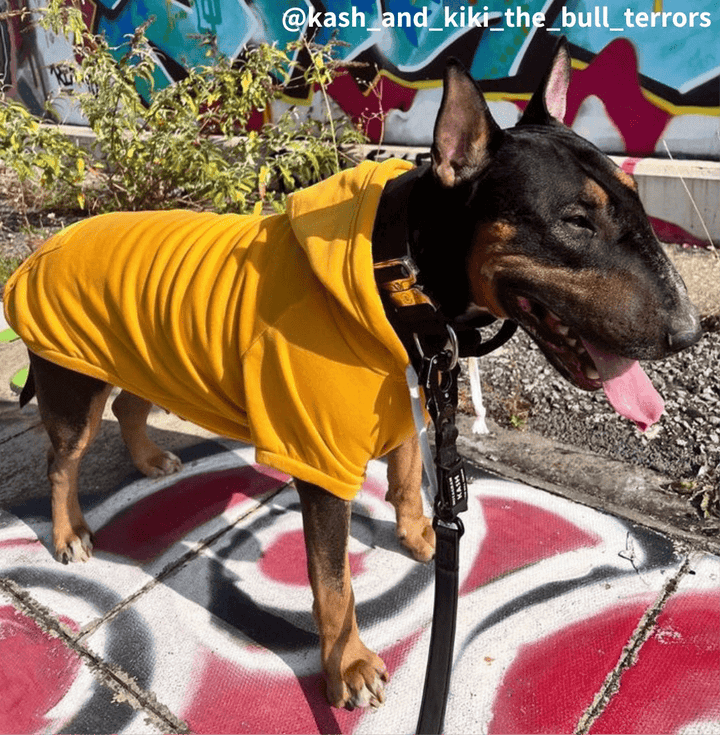 Hoodie With Zipper Pocket | Bull Terrier World