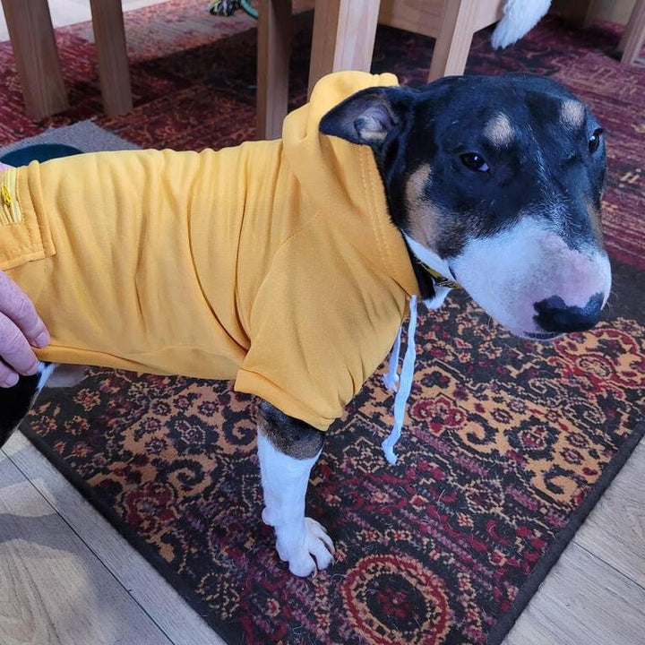 Hoodie With Zipper Pocket | Bull Terrier World