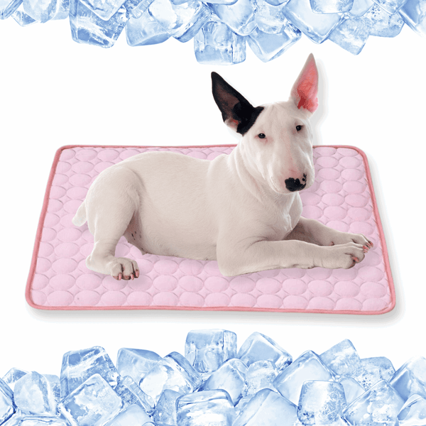 Ice Silk Cooling Mat Bull Terrier World