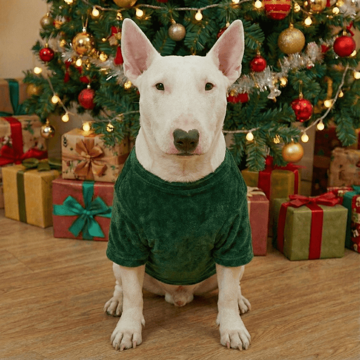Merry Christmas Dog Shirt | Bull Terrier World