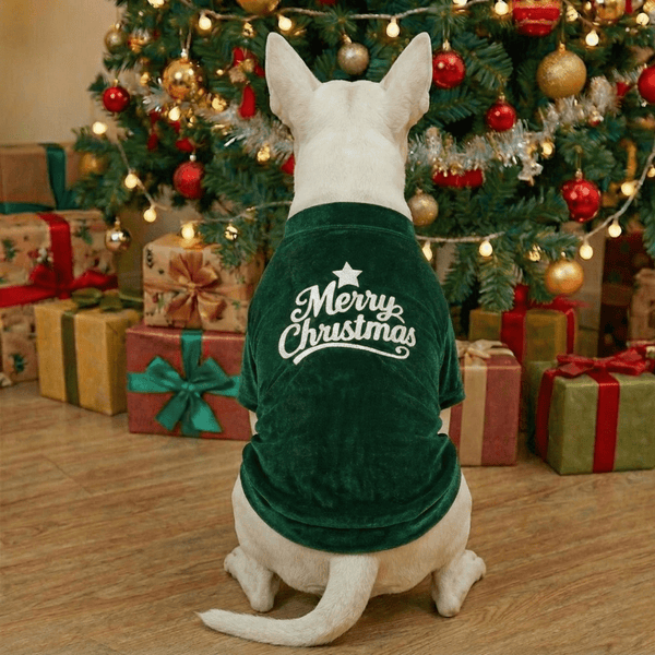 Merry Christmas Dog Shirt | Bull Terrier World