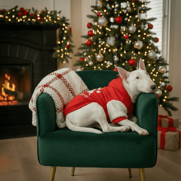 Merry Christmas Hoodie With Antlers | Bull Terrier World