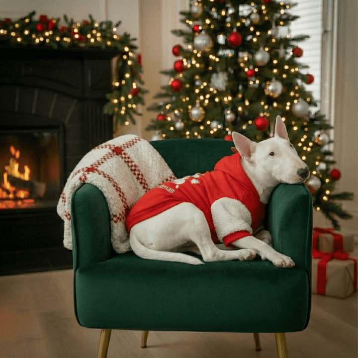 Merry Christmas Hoodie With Antlers | Bull Terrier World