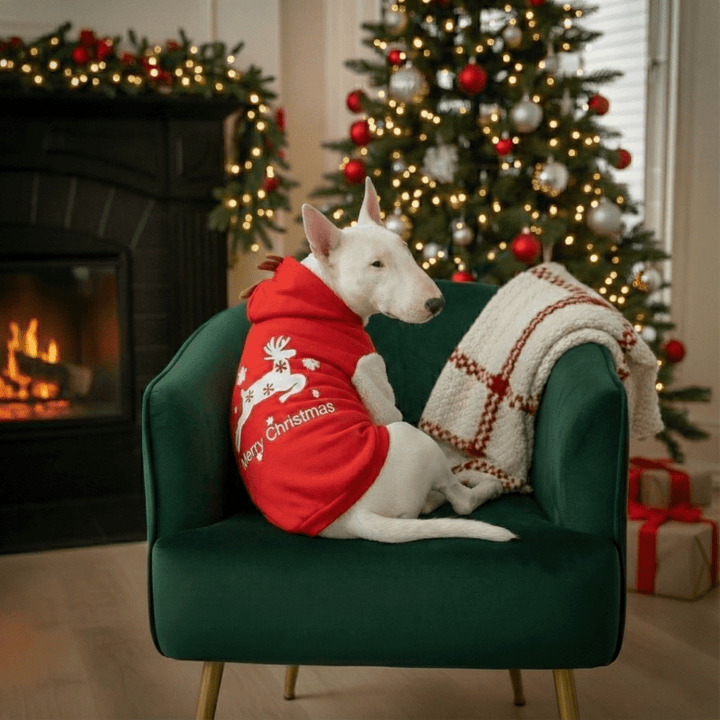 Merry Christmas Hoodie With Antlers | Bull Terrier World