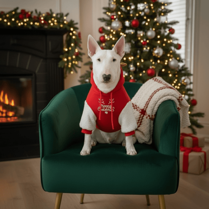 Merry Christmas Hoodie With Antlers | Bull Terrier World