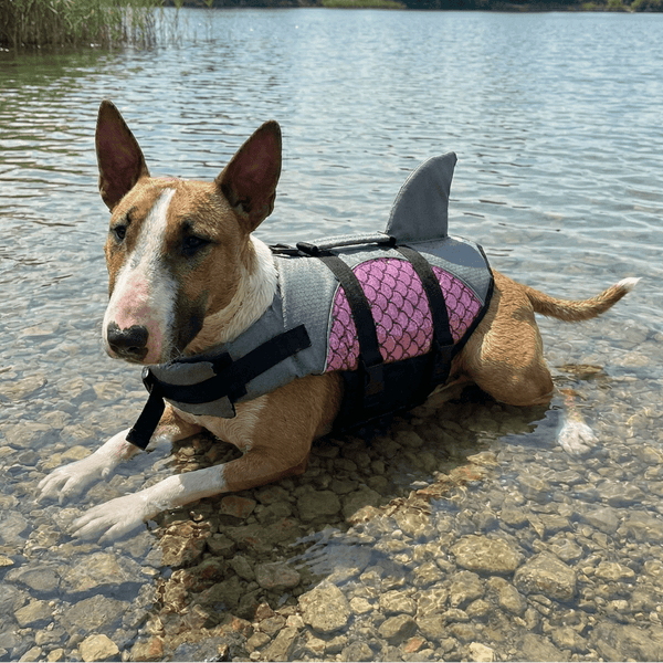 Metallic Life Jacket With Fin | Bull Terrier World