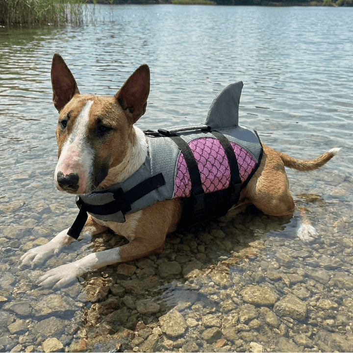 Metallic Life Jacket With Fin | Bull Terrier World