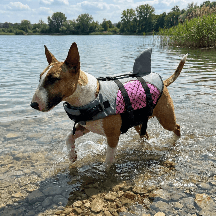 Metallic Life Jacket With Fin | Bull Terrier World