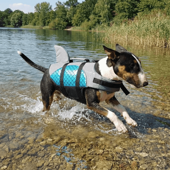 Metallic Life Jacket With Fin | Bull Terrier World