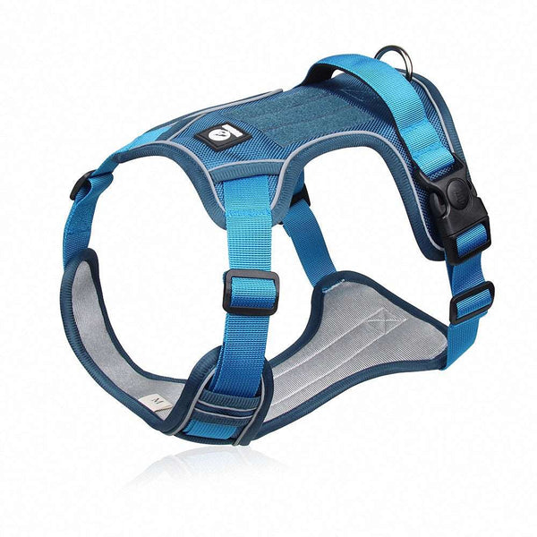 No-Pull Reflective Harness With Velcro Bull Terrier World S / Blue