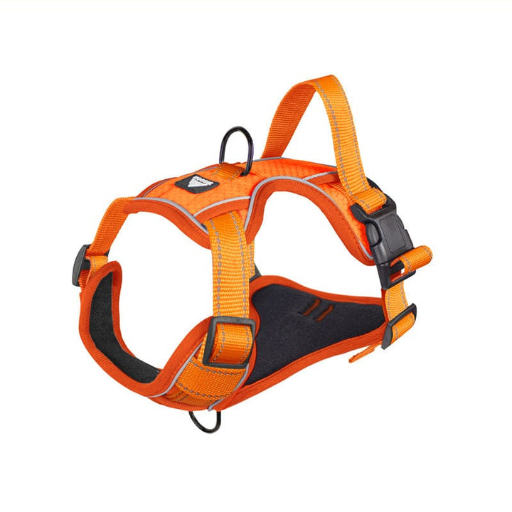 No - Pull Reflective Vest Harness | Bull Terrier World