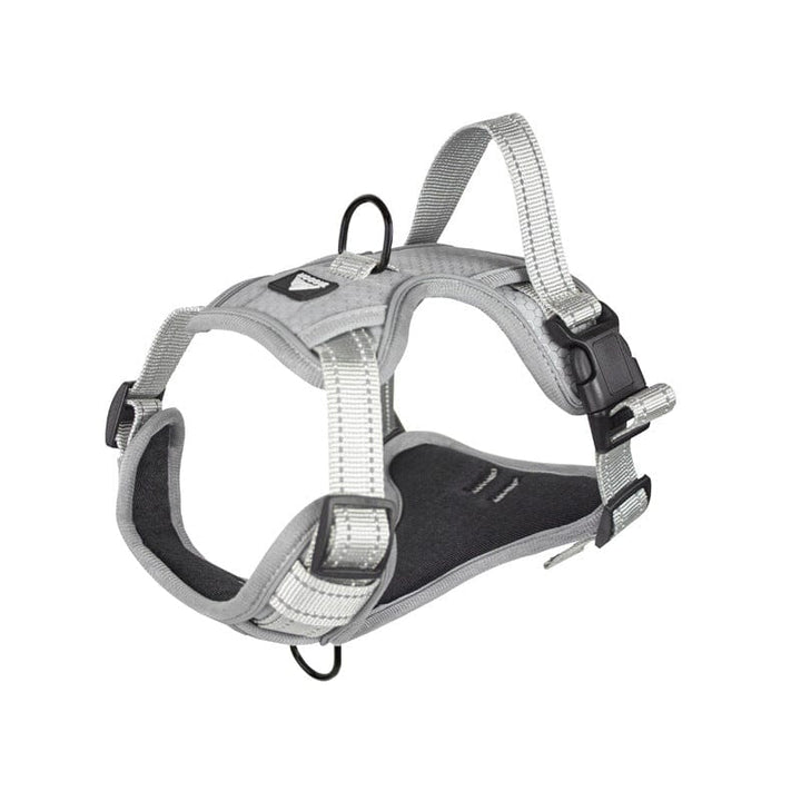 No - Pull Reflective Vest Harness | Bull Terrier World