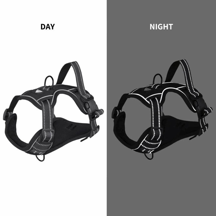 No - Pull Reflective Vest Harness | Bull Terrier World