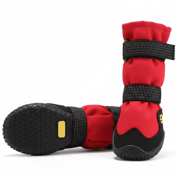 Non - Slip Waterproof Boots 2/4pc | Bull Terrier World