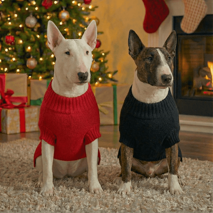 Nosey Deer Christmas Sweater | Bull Terrier World