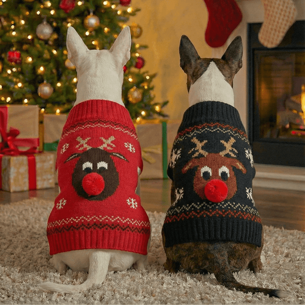 Nosey Deer Christmas Sweater | Bull Terrier World