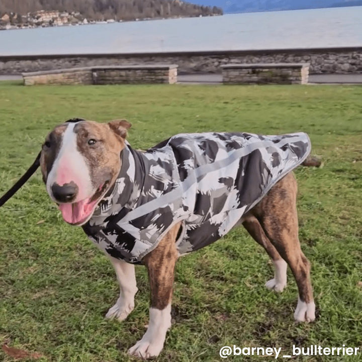 Patterned Vest With Retractable Collar | Bull Terrier World