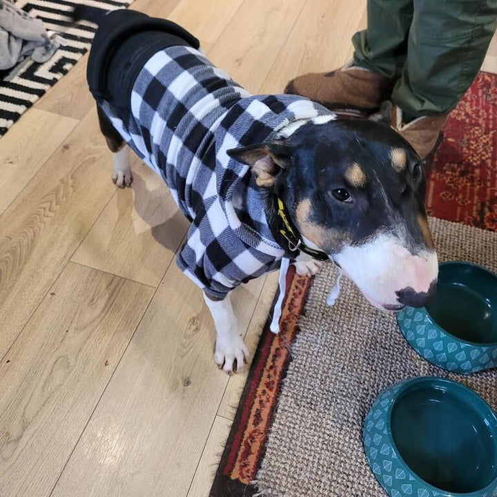 Plaid Hoodie With Zipper Pocket | Bull Terrier World