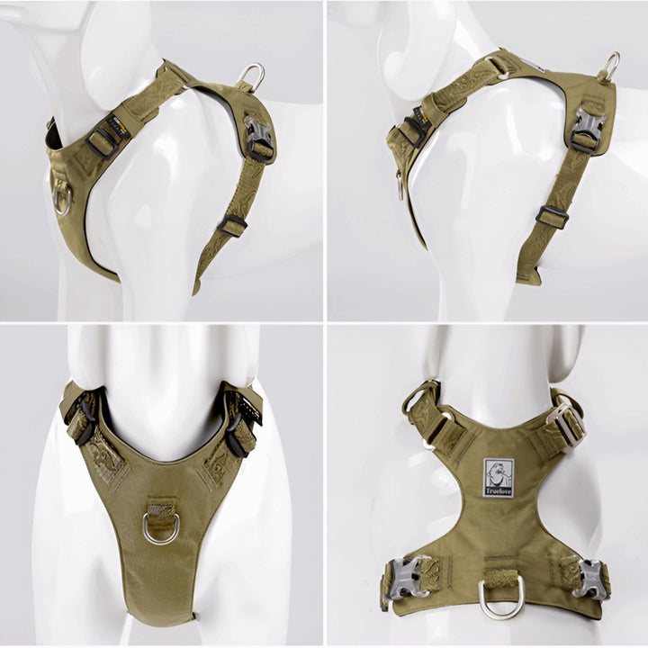 Premium Lightweight Cordura Harness | Bull Terrier World