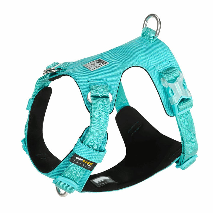 Premium Lightweight Cordura Harness | Bull Terrier World