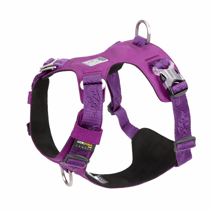 Premium Lightweight Cordura Harness | Bull Terrier World