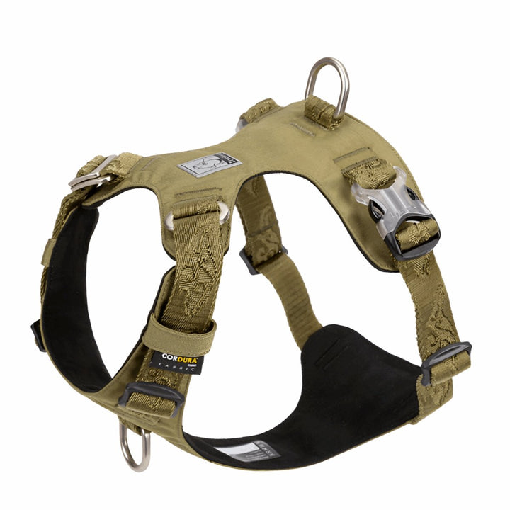 Premium Lightweight Cordura Harness | Bull Terrier World