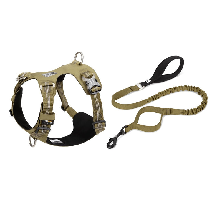 Premium Lightweight Cordura Harness & Leash Set | Bull Terrier World