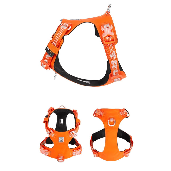 Premium Lightweight Cordura Harness & Leash Set | Bull Terrier World