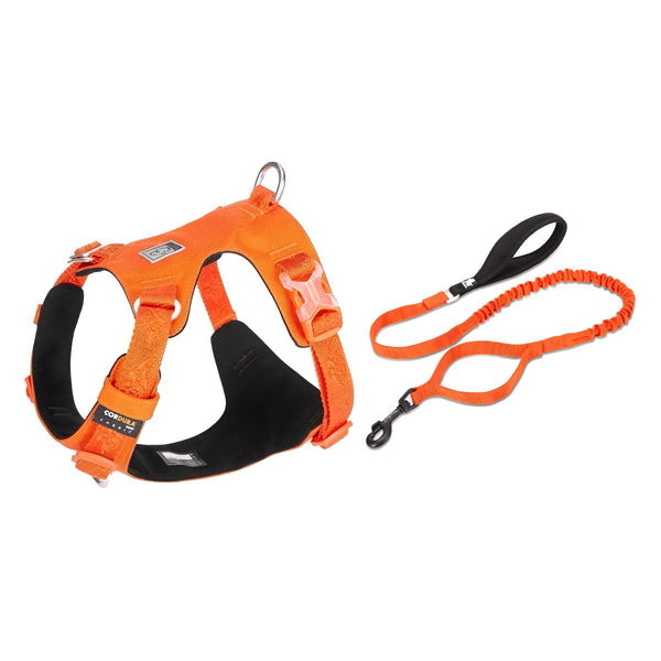 Premium Lightweight Cordura Harness & Leash Set | Bull Terrier World