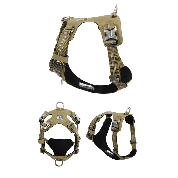 Premium Lightweight Cordura Harness & Leash Set | Bull Terrier World