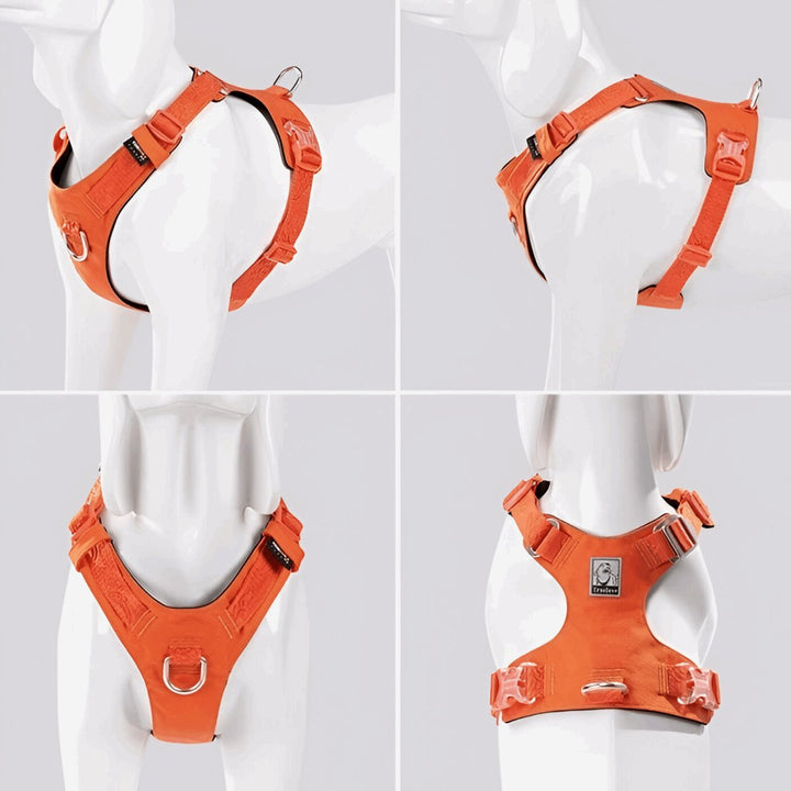 Premium Lightweight Cordura Harness & Leash Set | Bull Terrier World