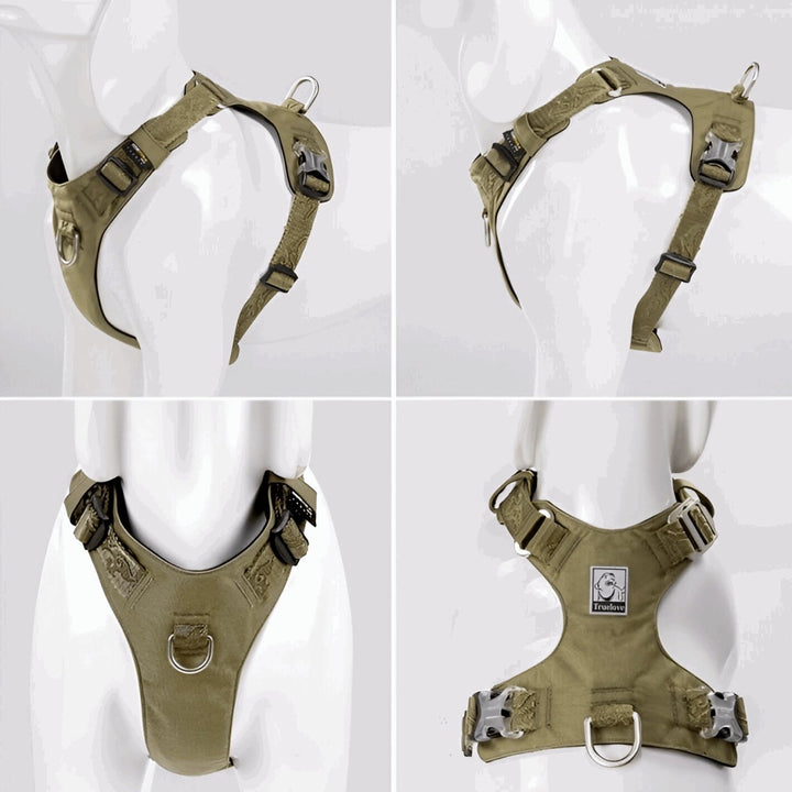 Premium Lightweight Cordura Harness & Leash Set | Bull Terrier World