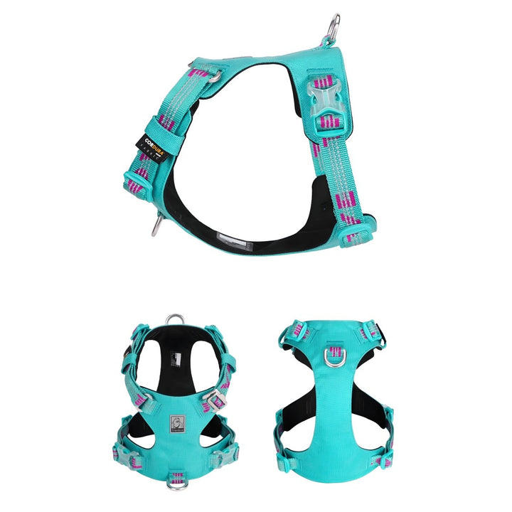 Premium Reflective Lightweight Cordura Harness & Leash Set | Bull Terrier World