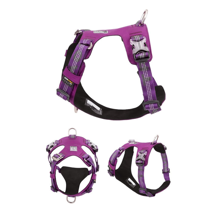 Premium Reflective Lightweight Cordura Harness & Leash Set | Bull Terrier World