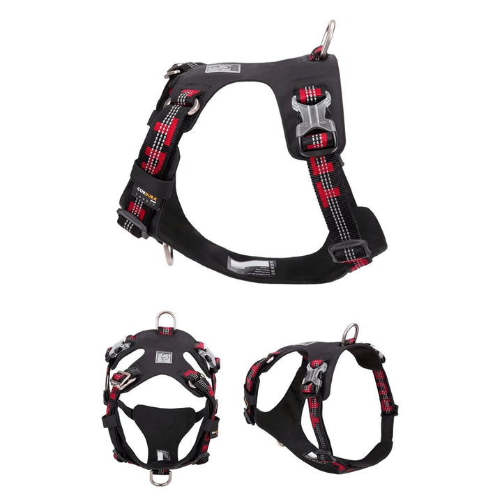 Premium Reflective Lightweight Cordura Harness & Leash Set | Bull Terrier World