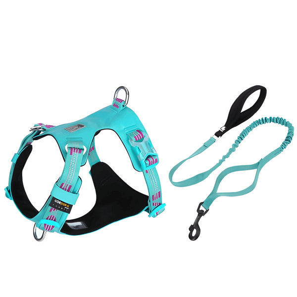 Premium Reflective Lightweight Cordura Harness & Leash Set | Bull Terrier World