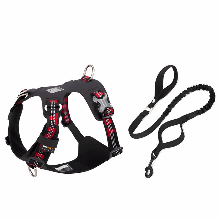 Premium Reflective Lightweight Cordura Harness & Leash Set | Bull Terrier World