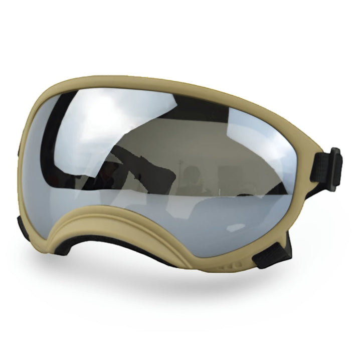 Protective Dog UV Goggles | Bull Terrier World