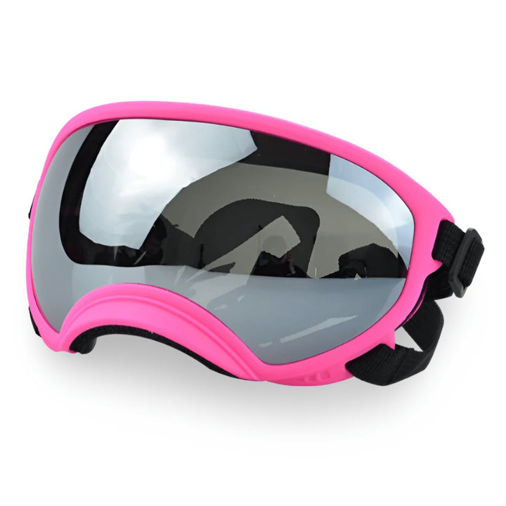 Protective Dog UV Goggles | Bull Terrier World