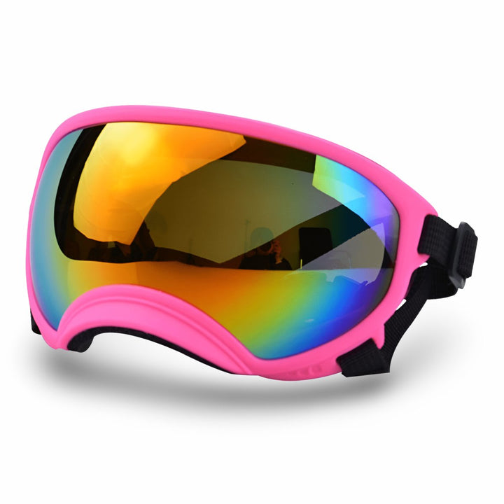 Protective Dog UV Goggles | Bull Terrier World