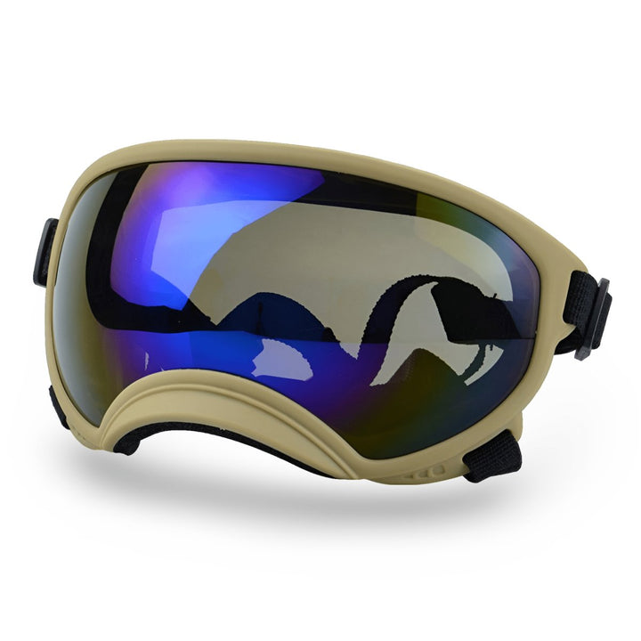 Protective Dog UV Goggles | Bull Terrier World