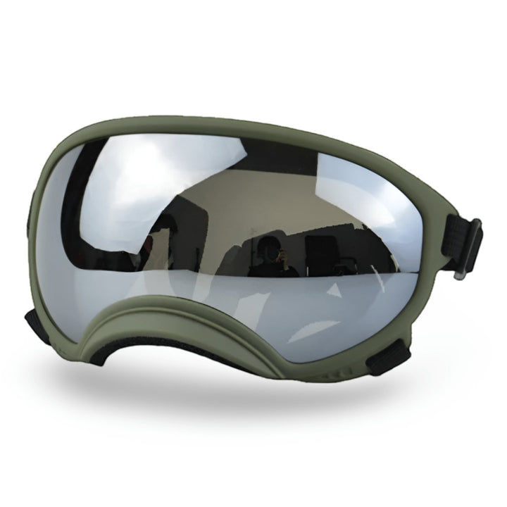 Protective Dog UV Goggles | Bull Terrier World