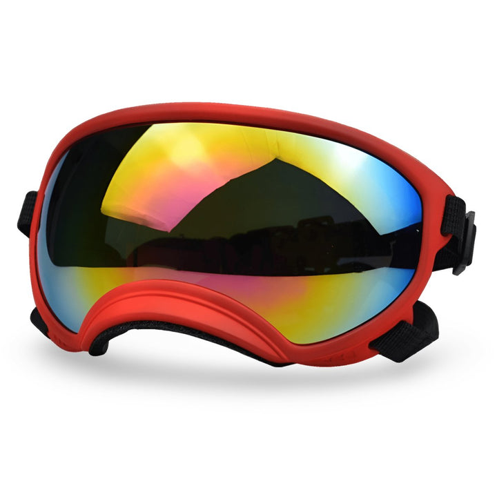 Protective Dog UV Goggles | Bull Terrier World