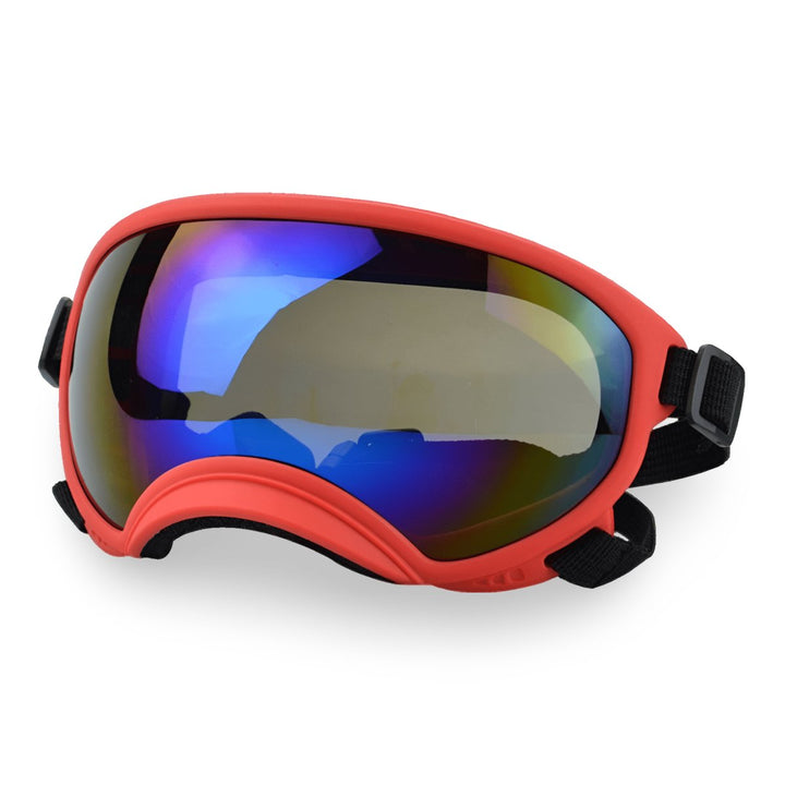 Protective Dog UV Goggles | Bull Terrier World