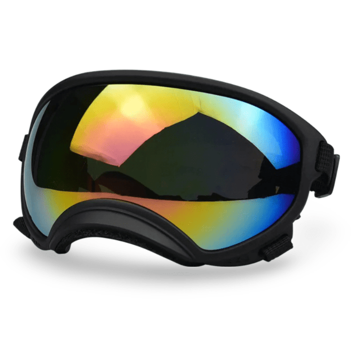 Protective Dog UV Goggles | Bull Terrier World